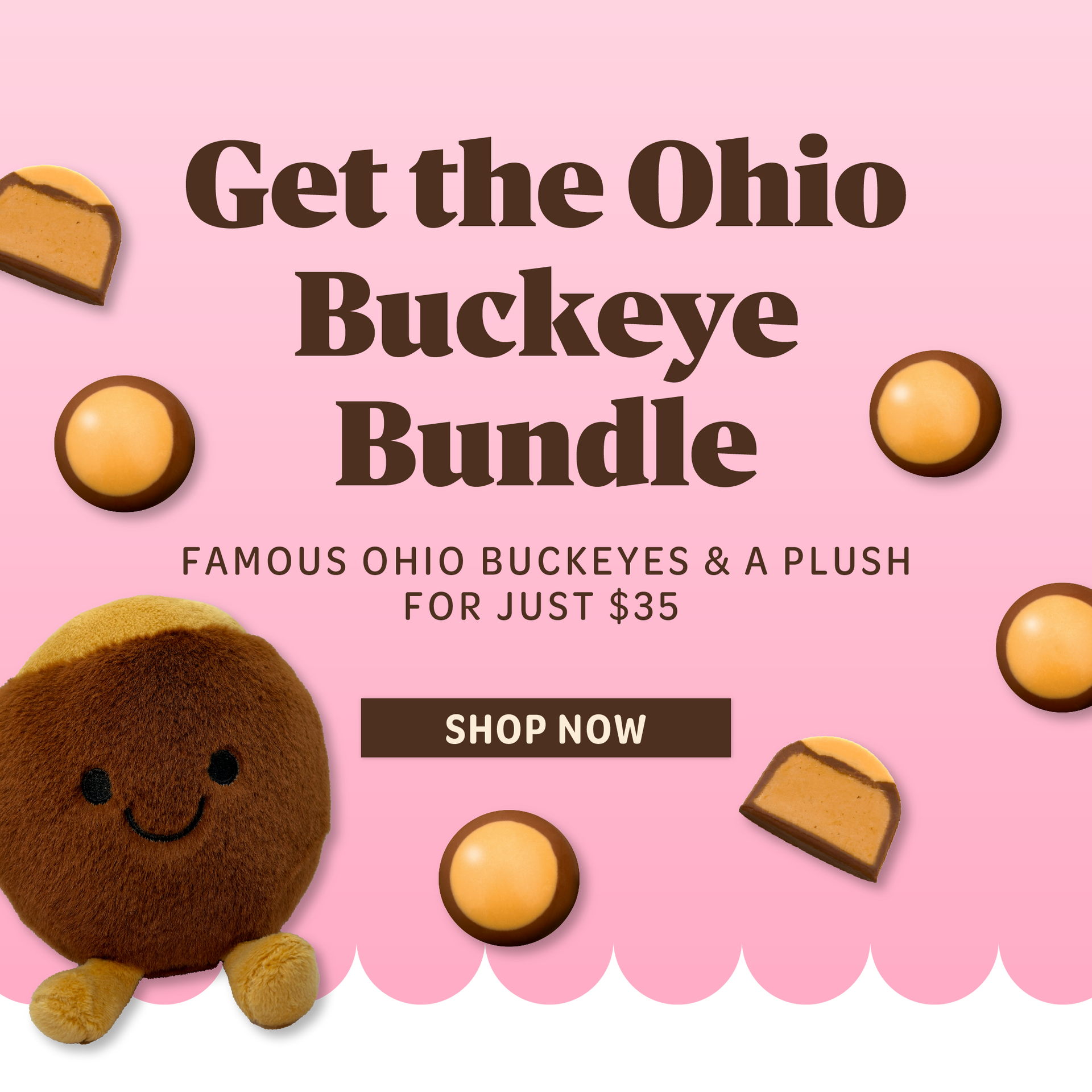 Get the ohio buckeye bundle. famous ohio buckeyes and a plush for just thirty five dollars.