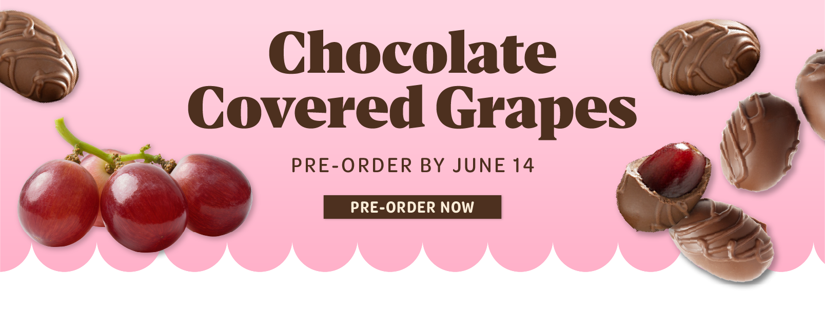 Chocolate covered grapes preorder by june 14