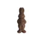 Solid Milk Chocolate Rabbit